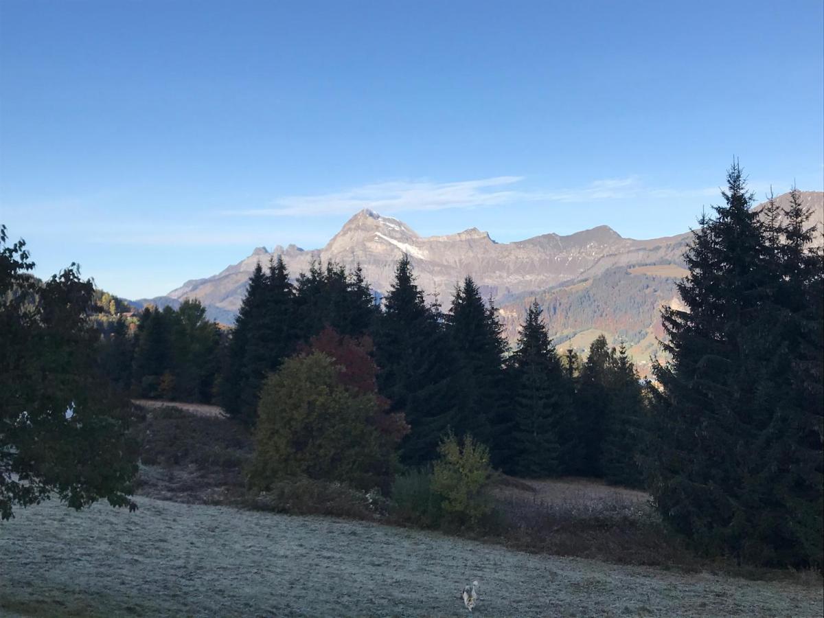 La Ferme Des Georgieres "Sejour En Tout Compris" Notre-Dame-de-Bellecombe Exteriér fotografie